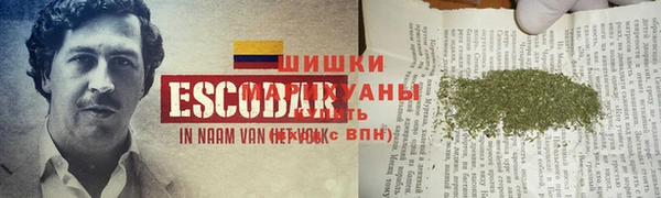 шишки Переславль-Залесский
