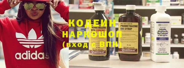 шишки Переславль-Залесский