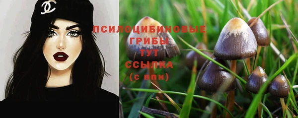 PSILOCYBIN Пересвет