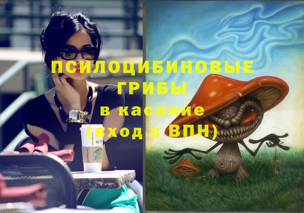 PSILOCYBIN Пересвет