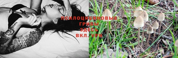 a pvp Пестово