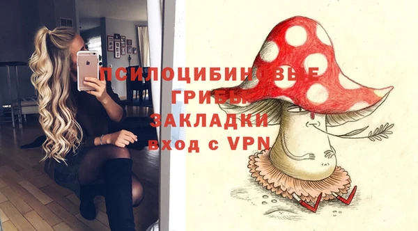 шишки Переславль-Залесский