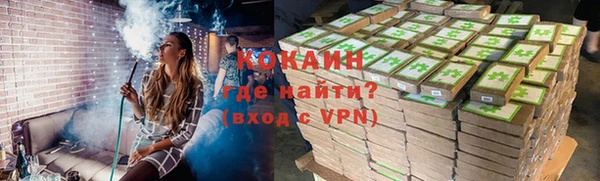 шишки Переславль-Залесский