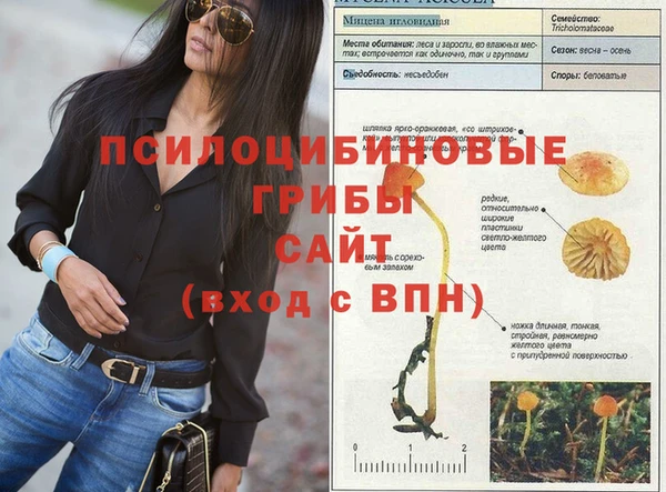 PSILOCYBIN Пересвет