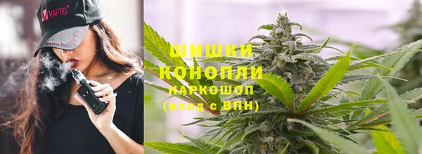 шишки Переславль-Залесский